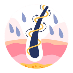 激活沉睡的健康毛囊