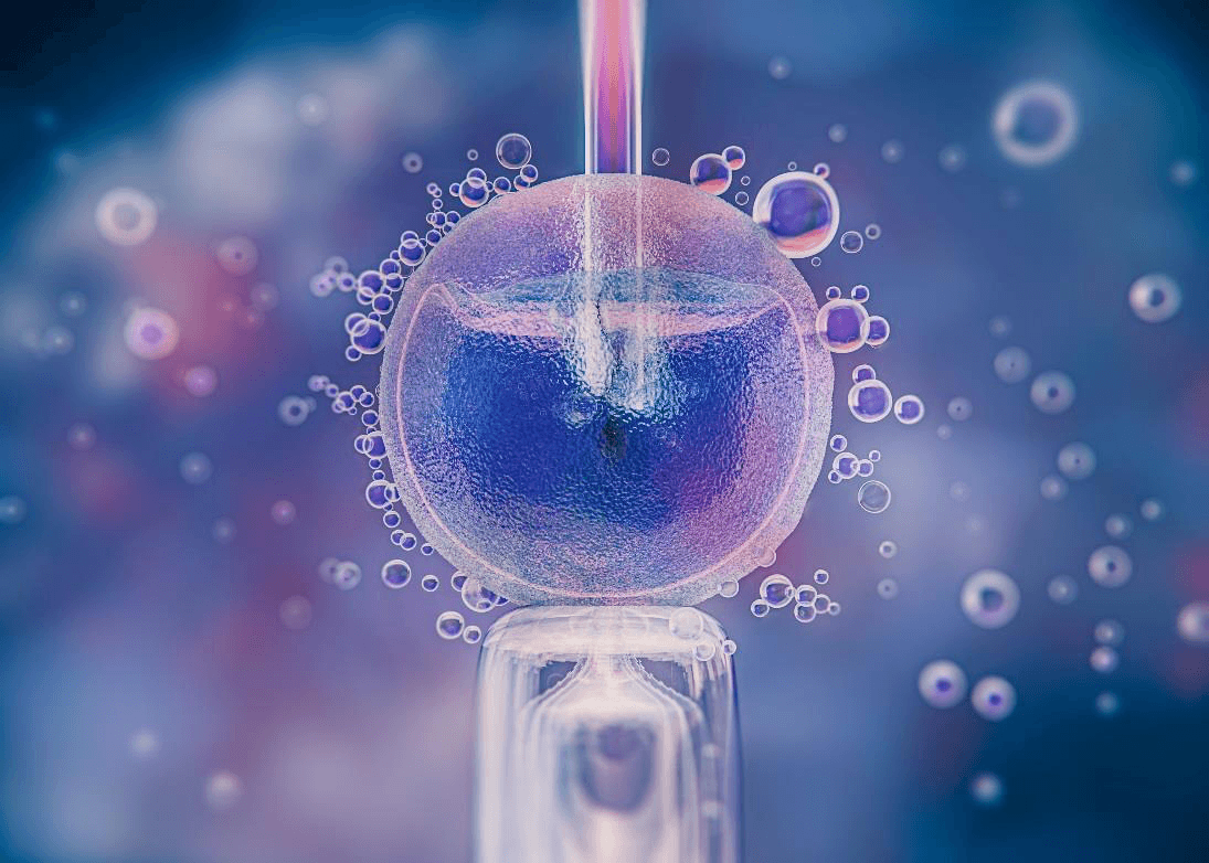 EXOSOME 外泌體細胞