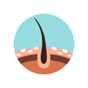 穩定期的雄性禿